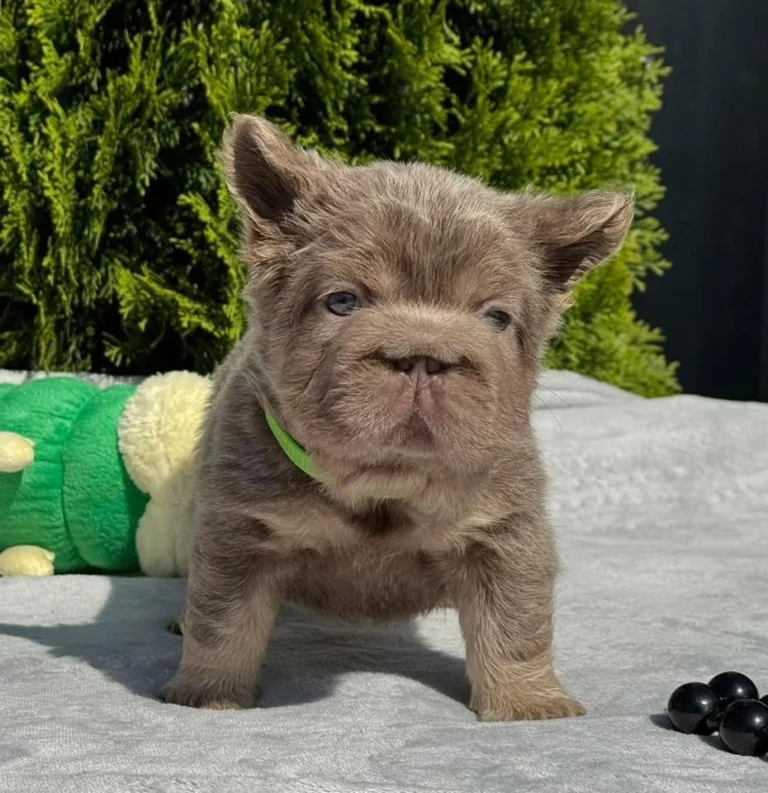 Fluffly big rope