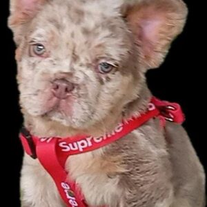 Tienda 18 06ea1902 aae2 41f5 a95d a6354b30d172