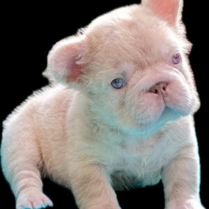 Tienda 16 43f2255a 283c 4216 a5cf 294106e9d198