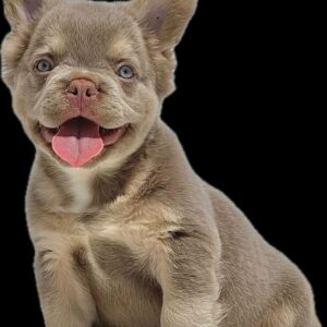 Tienda 12 496b500e 85f9 4619 804a 8ab8379f0ccf