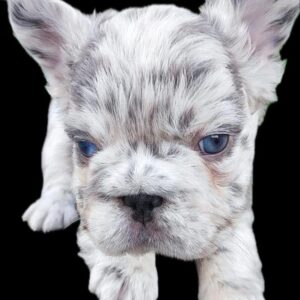 Tienda 13 4a4df298 63b4 436d 873b 30eaca5b065b 1