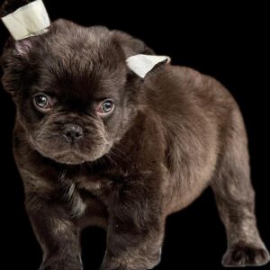 Tienda 30 50fbafe7 c886 4c3f 939f fefc16614354