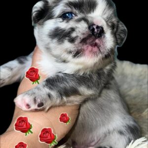 Tienda 15 82a0ab94 491b 41f6 a52e 732ab89eb458