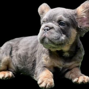 Tienda 10 a59ba70a 078e 42c8 bc6e 2002fa283124