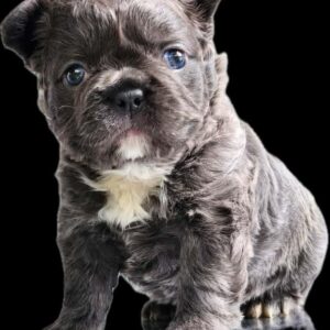 Tienda 14 e4624e4b 3977 4f25 811a dc6d9d0618be