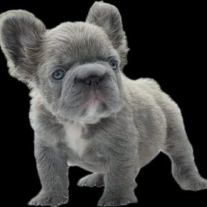 Tienda 17 e7b7c4bf 3349 4ae9 beb8 87a883d11a8f