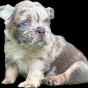 Tienda 28 f0f89c75 6c24 4e71 ba08 a08fb576af45 1