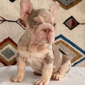 Tienda 11 12c03f7d c511 42e8 905c 5dfb3de95356