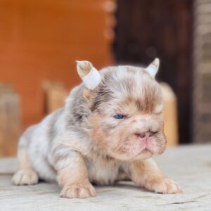 Tienda 10 d59d05e1 f172 4b6e b393 2b6521fd55bd