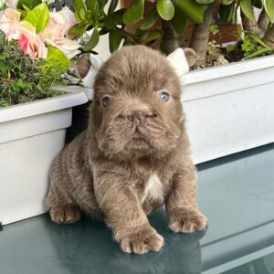 Tienda 14 e6c4e3c9 f4f7 4d8b ac90 c5e93cb57af7 1